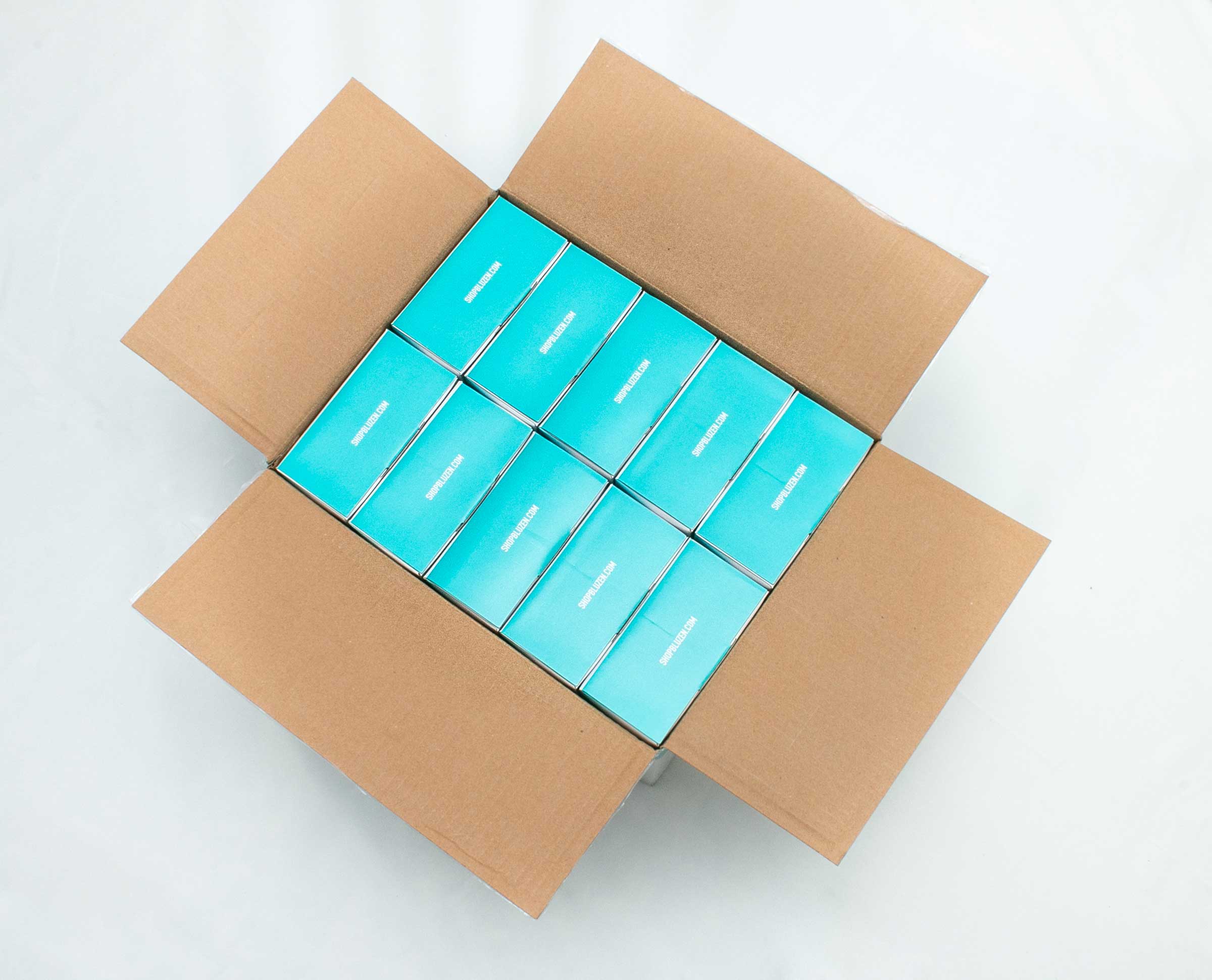 Bluzen Extra Large Disposable Vinyl Gloves Case