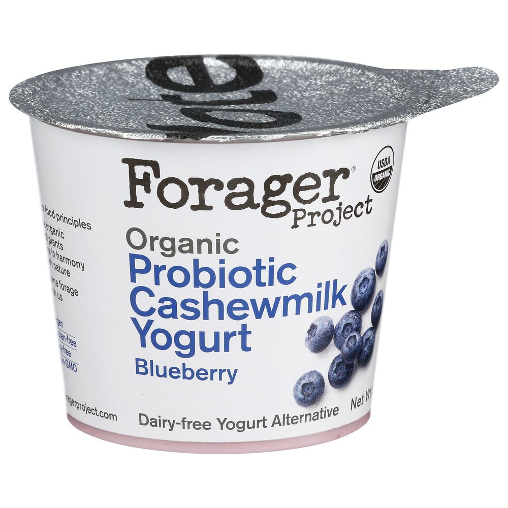 Forager Organic Dairy Free Blueberry Cashewmilk Yogurt, 5.3 Ounce -- 6 Per Case