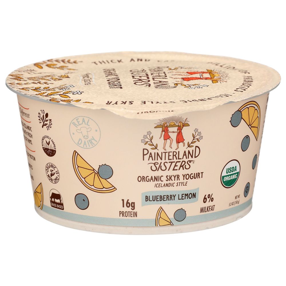 Painterland Sisters Organic Blueberry Lemon Skyr Yogurt, 5.3 Ounce -- 8 Per Case
