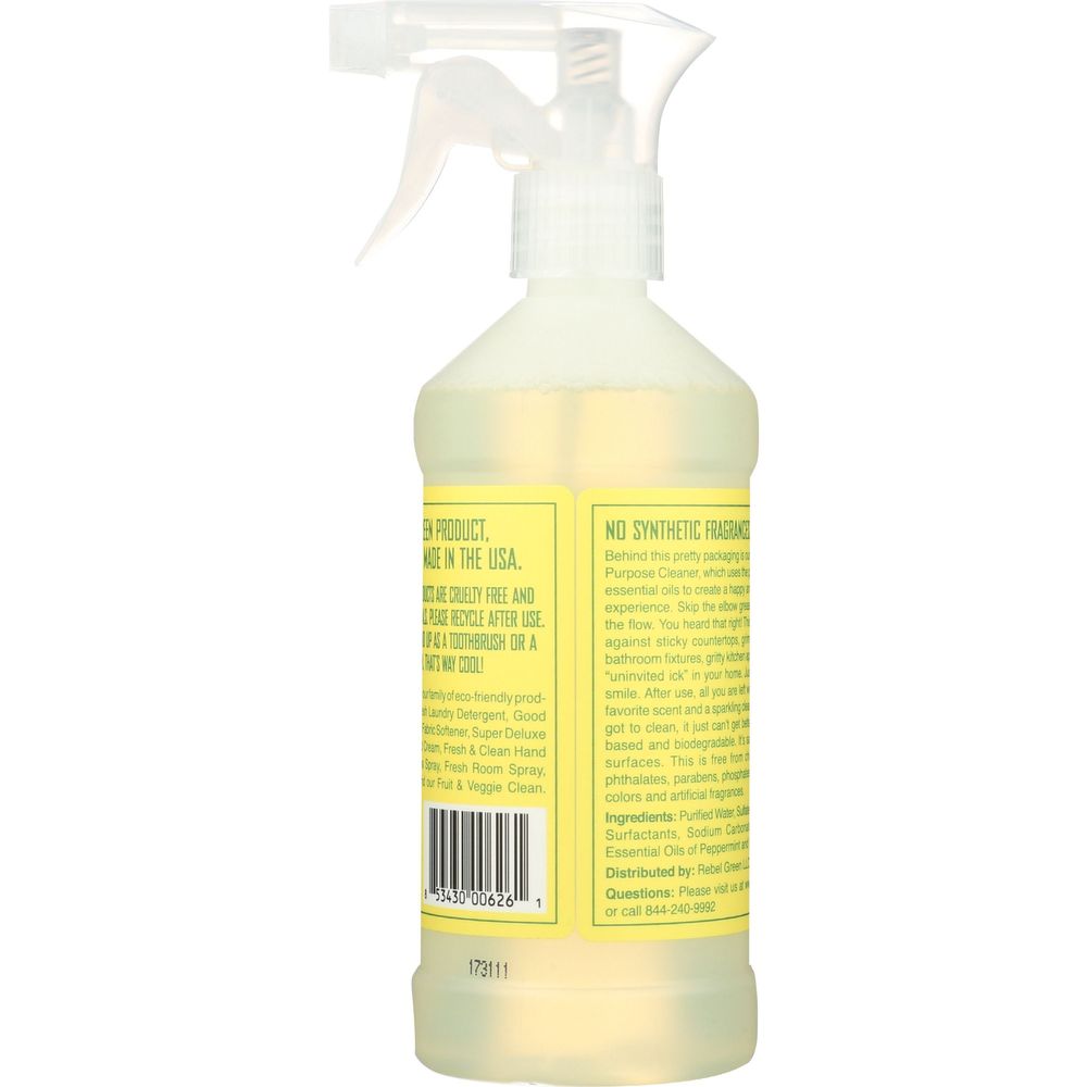 Rebel Green Natural All Purpose Cleaning Spray, 16 Ounce -- 4 Per Case