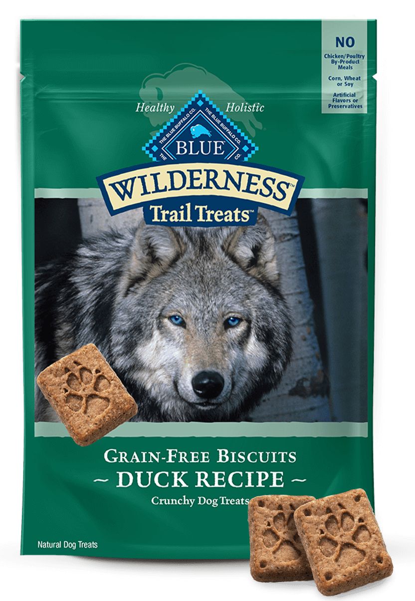 Blue Buffalo Wilderness Trail Treats Duck Biscuits Dog Treat, 10 Ounce -- 6 Per Case