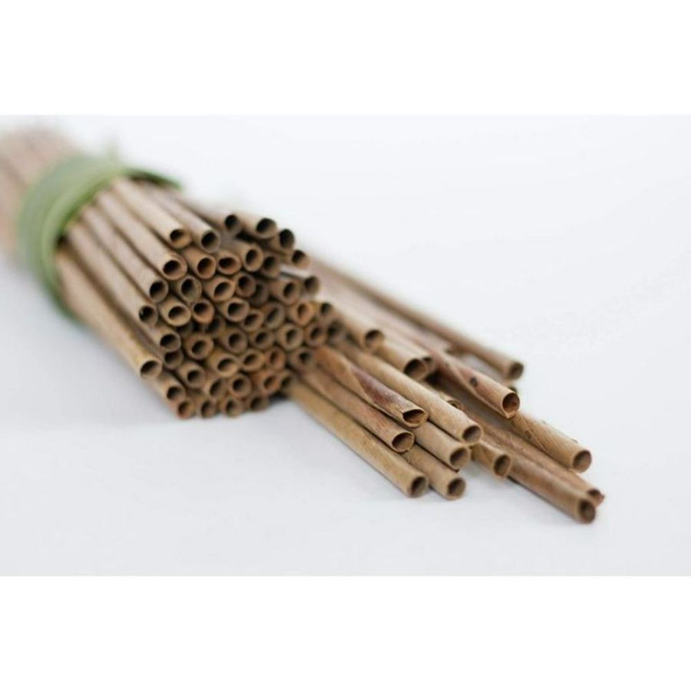 Dtocs Palm Leaf 7 inch Round Disposable Straw -- 100 per case