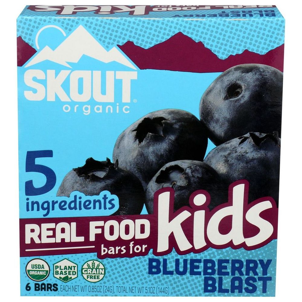 Skout Organic Blueberry Blast Real Food Bar For Kids, 5.1 Ounce -- 6 Per Case