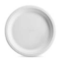 Chinet Molded Fiber Paper Vines Classic White Plate, 10 1/2 Inch -- 500 Per Case
