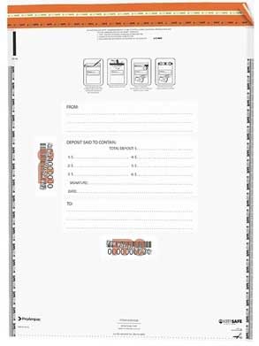 Proampac White/gray Vault Bundle Federal Compliant Bag, 15 X 20 Inch -- 250 Per Case