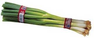 T & T Industries Twist-ems Plu 4629 Red Leeks Tie, 18 Inch -- 1000 Per Case