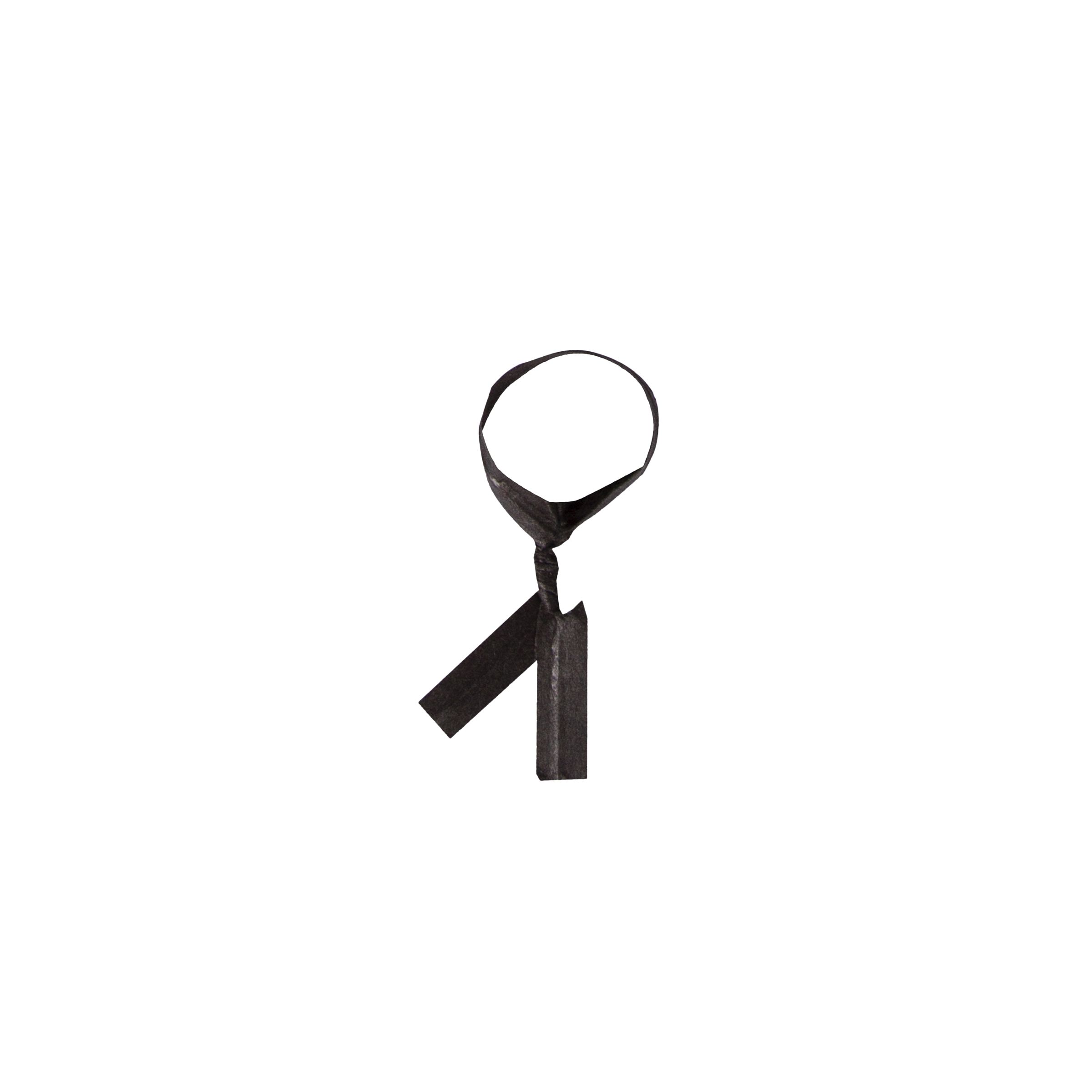 T & T Industries Twist-ems Black Paper Twist Ties, 3/16 X 3.5 Inch -- 2000 Per Case
