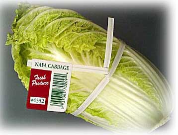 T & T Industries Twist-ems Plu 4552 Green Foil Custom Printed Napa Cabbage Paper Twist Ties, 3/8 X 18 Inch -- 1000 Per Case