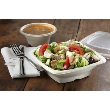 Sabert Natural Pulp Square Bowl, 16 Ounce Capacity -- 300 Per Case