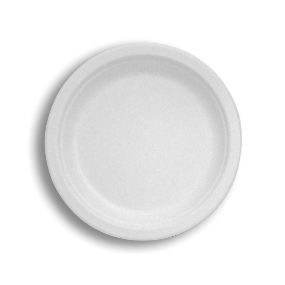Asean Sugarcane White Compostable Plate, 10 Inch -- 500 Per Case