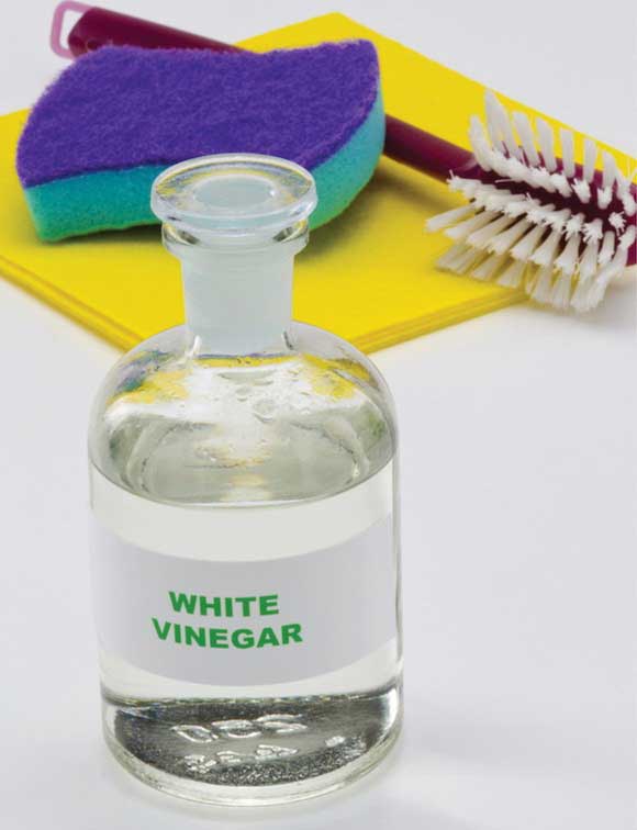 National Vinegar White Distilled Vinegar, 1 Gallon -- 4 Per Case