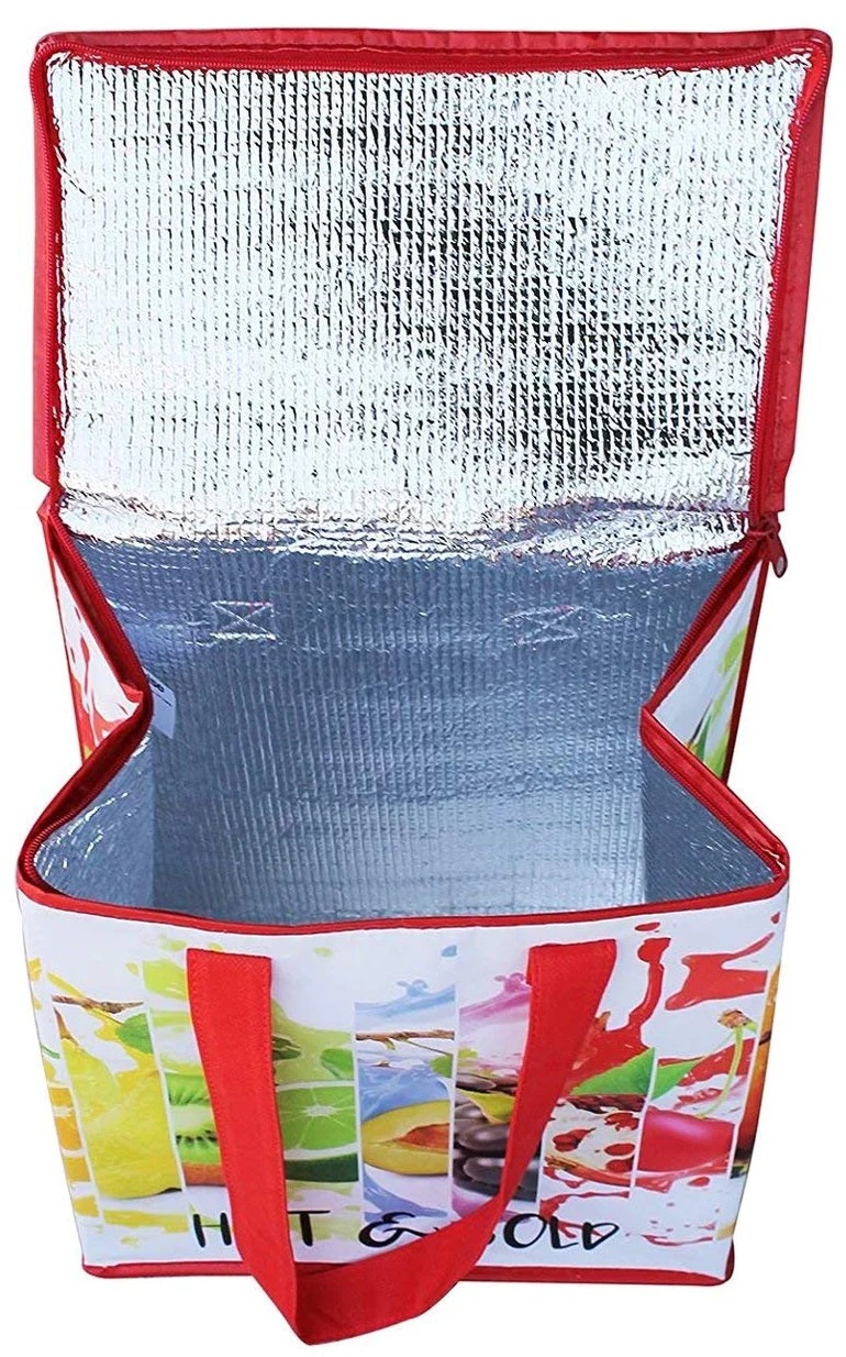Earthwise Plastic Medium Everyday Non Woven Insulated Bag, 12.5 X 14 X 7.75 Inch -- 25 Per Case