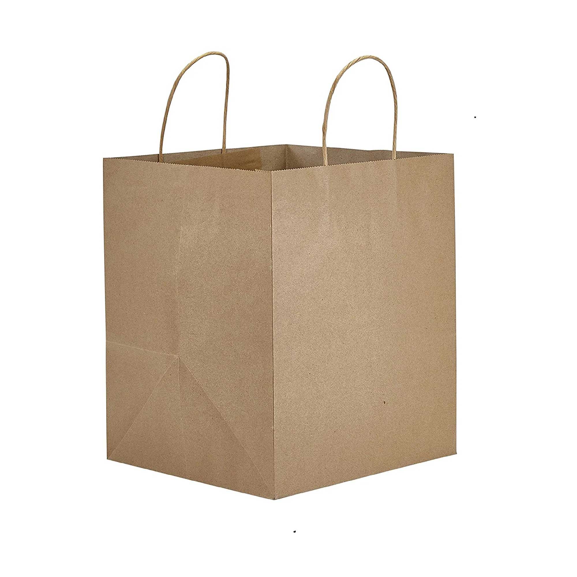 Prime Time Packaging Twisted Rope Handle Kraft Paper Shopping Bag, 10 X 10 X 10 Inch -- 250 Per Case