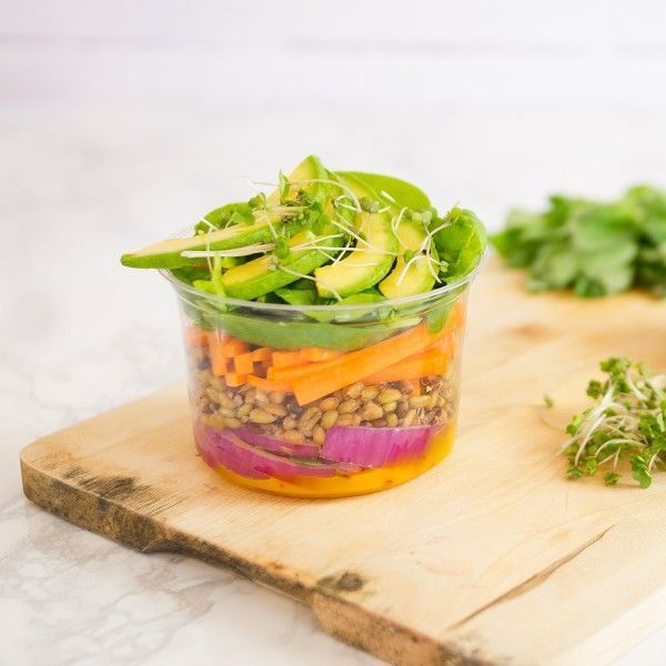 Vegware Pla Clear Round Deli Container, 16 Ounce -- 500 Per Case
