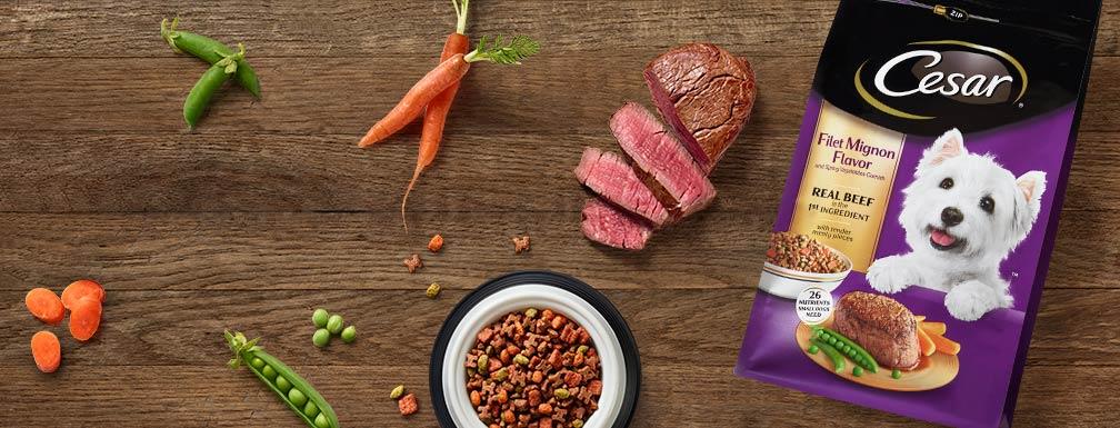Cesar Dry Filet Mignon with Spring Vegetable Dog Food 5 Ounce 4 per case