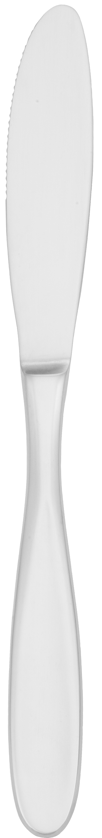 Walco Stainless Hallmark 2000 Flatware Modernaire Dinner Knife 1 Count -- 12 Per Case