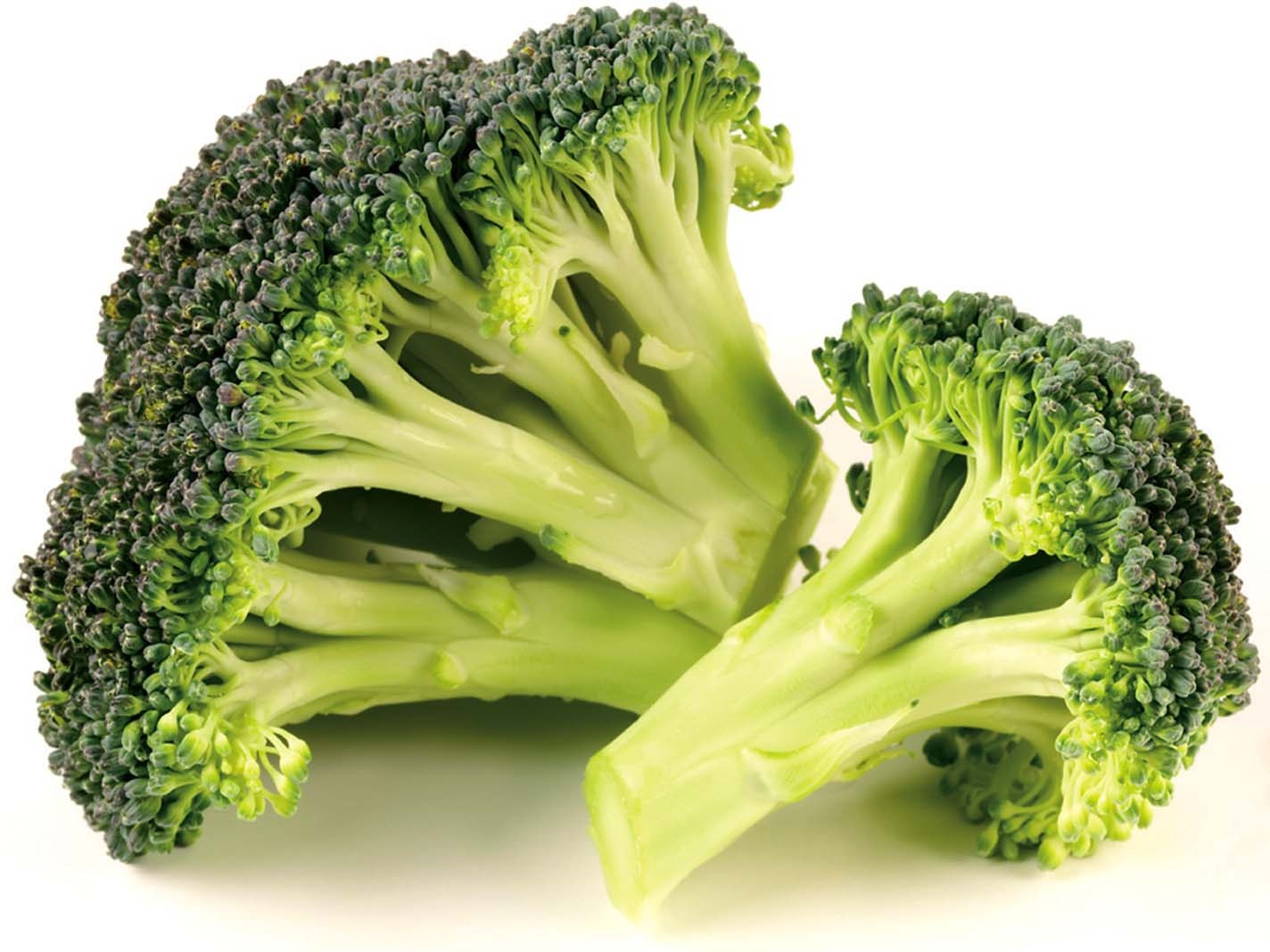 Savor Imports Broccoli Florets, Wet Pack, 2 Pound -- 12 Per Case