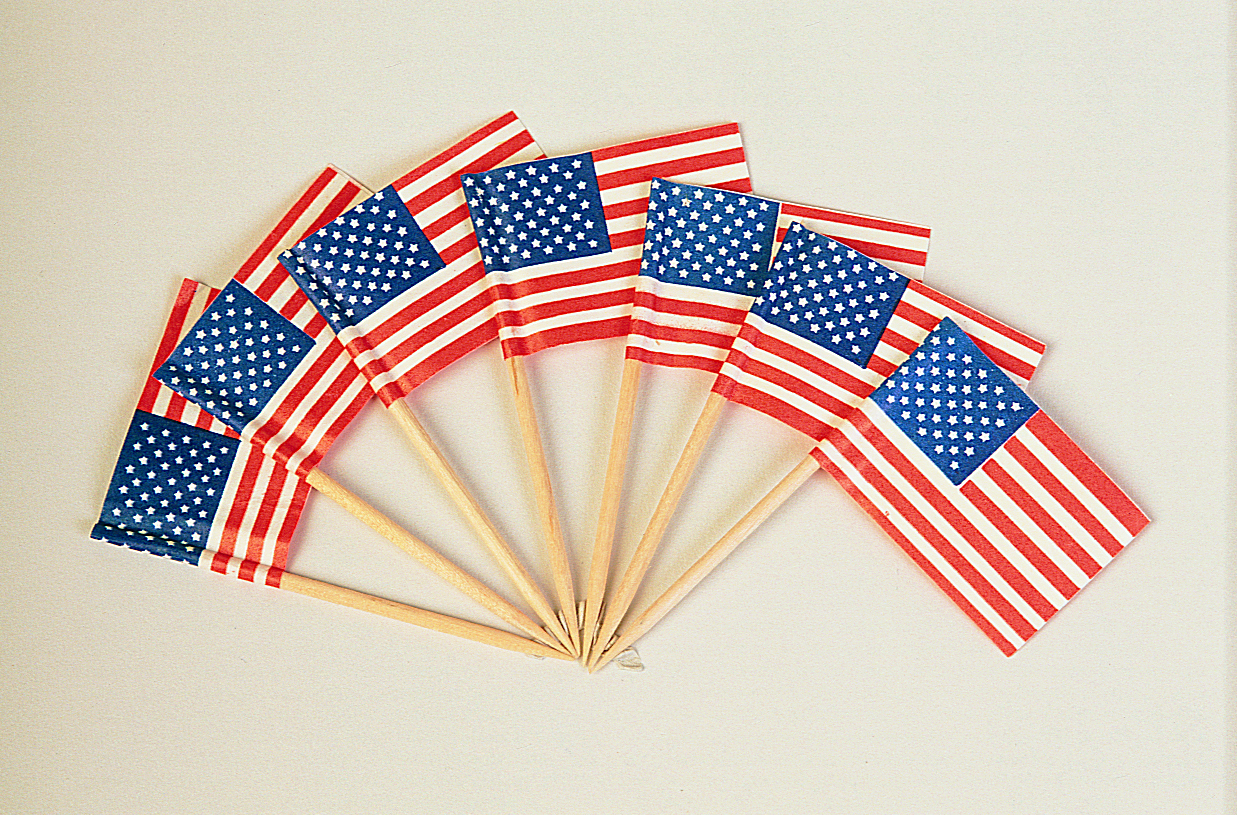 Goldmax American Flag Picks, 144 Count -- 100 Per Case