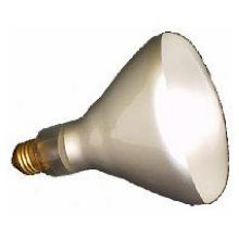 Nemco Food Equipment White Bulb Only, 250 Watts -- 12 Per Case