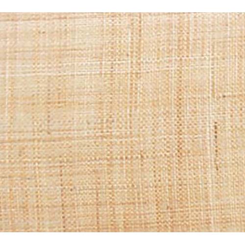 Cambro Camtrays Rattan Fiberglass Metric Rectangular Tray, 12 1/2 X 16 1/2 Inch -- 12 Per Case