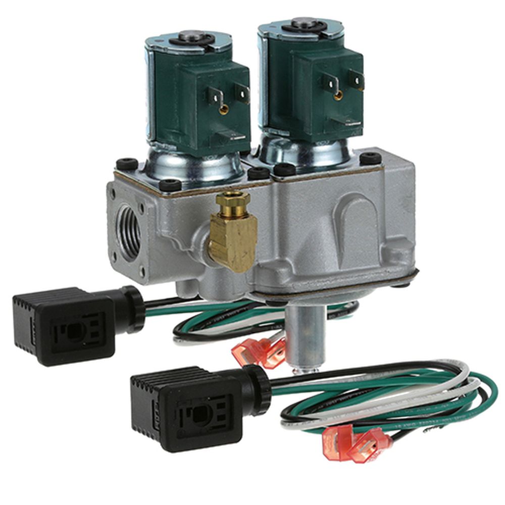 Garland GAR1754901 1/2 inch Fpt 25 Volt Dual Gas Solenoid Valve