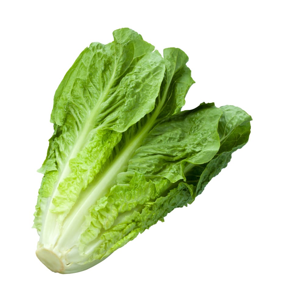 Collins Produce Lettuce Romaine 24CT