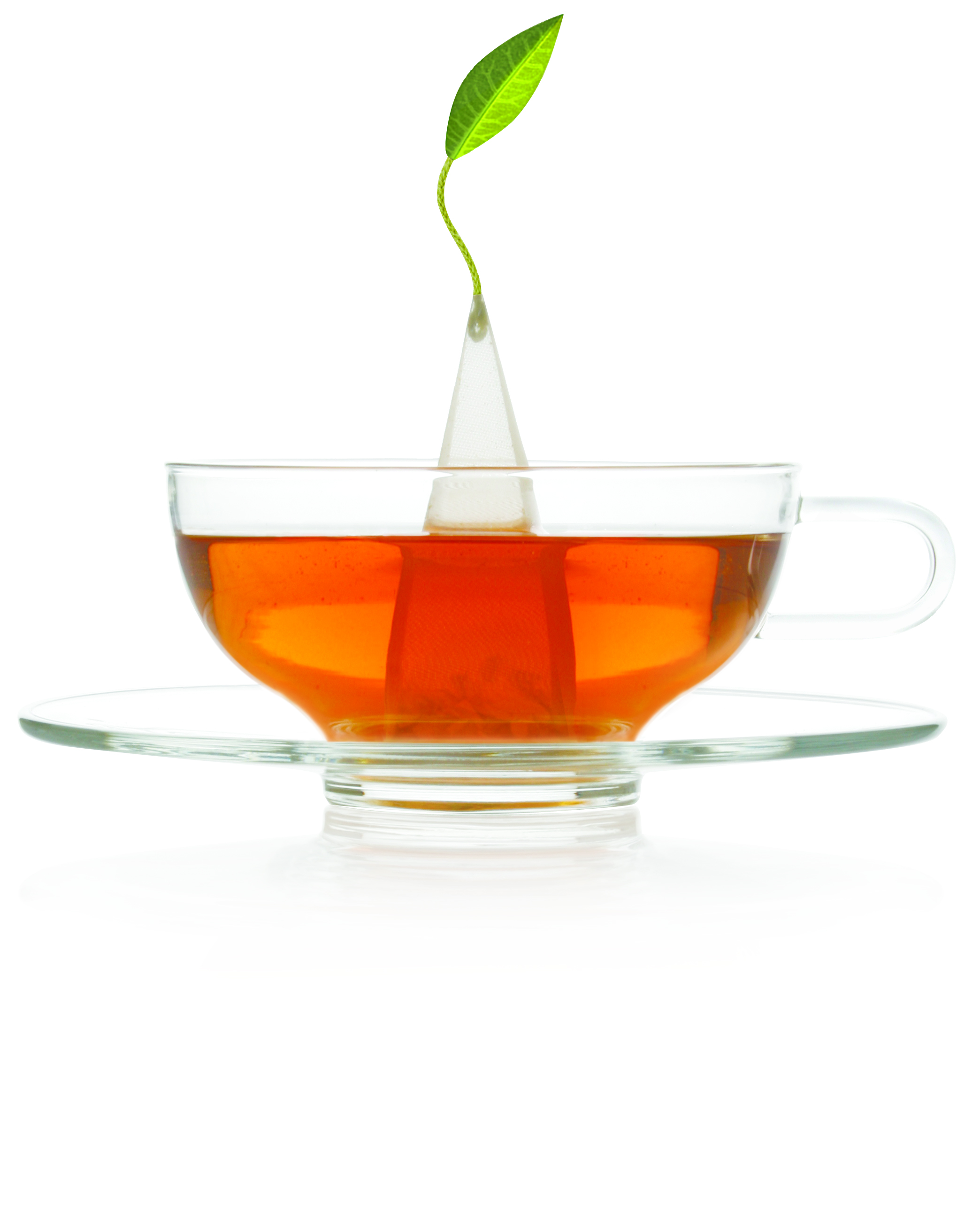 Tea Forte Bombay Chai, 40 servings CT per Box