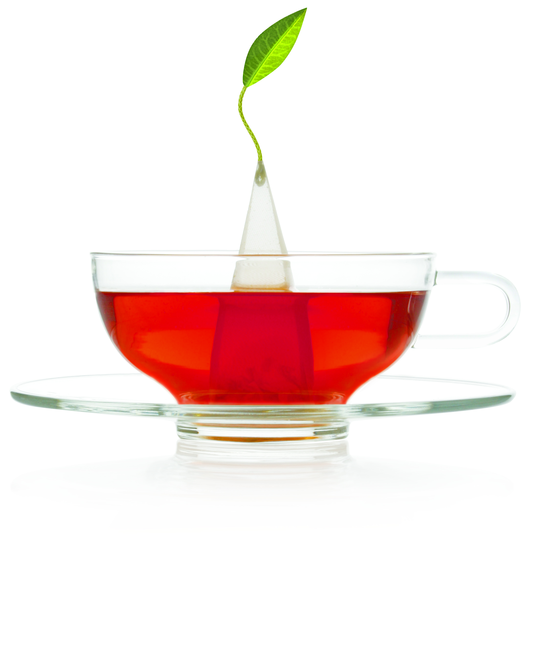 Tea Forte Chamomile Citron, Pyramid tea infuser, 40 CT per Box