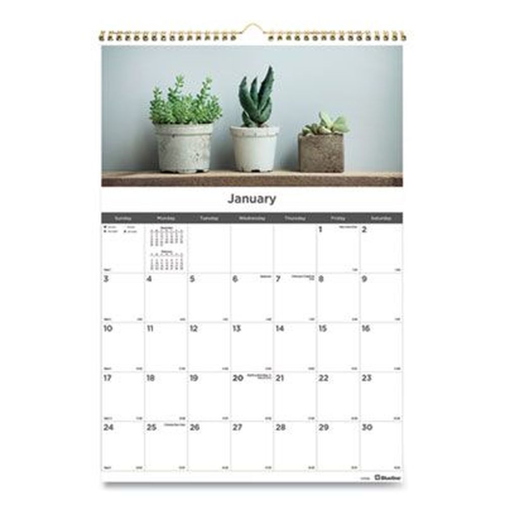 Product gallery 3063531